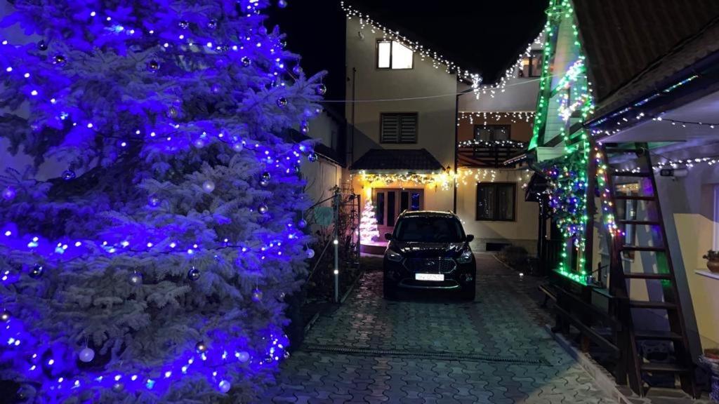 Apartament Casa Nicoladis Zărneşti Zewnętrze zdjęcie